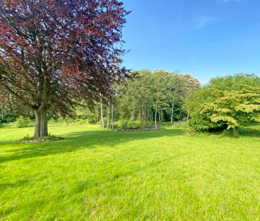 Panoramic View of Lyngby Lake - Foto 4