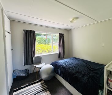 5 Maori Road, City Centre (Dunedin) - Photo 3