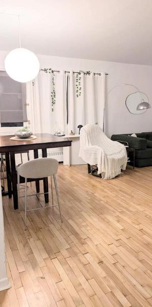 1 CH - 1 SDB - Montréal - $1,192 /mo - Photo 1