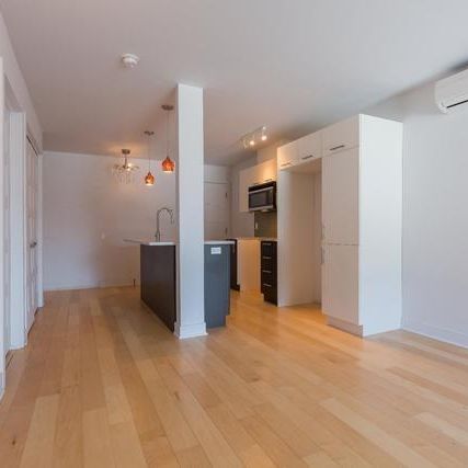 Magnifique condo rénové 4½ de 750 pi² face au parc Père-Marquette, un des secteurs les plus recherchés de Rosemont Petite Patrie. Dispo dès 15 juillet - Photo 3