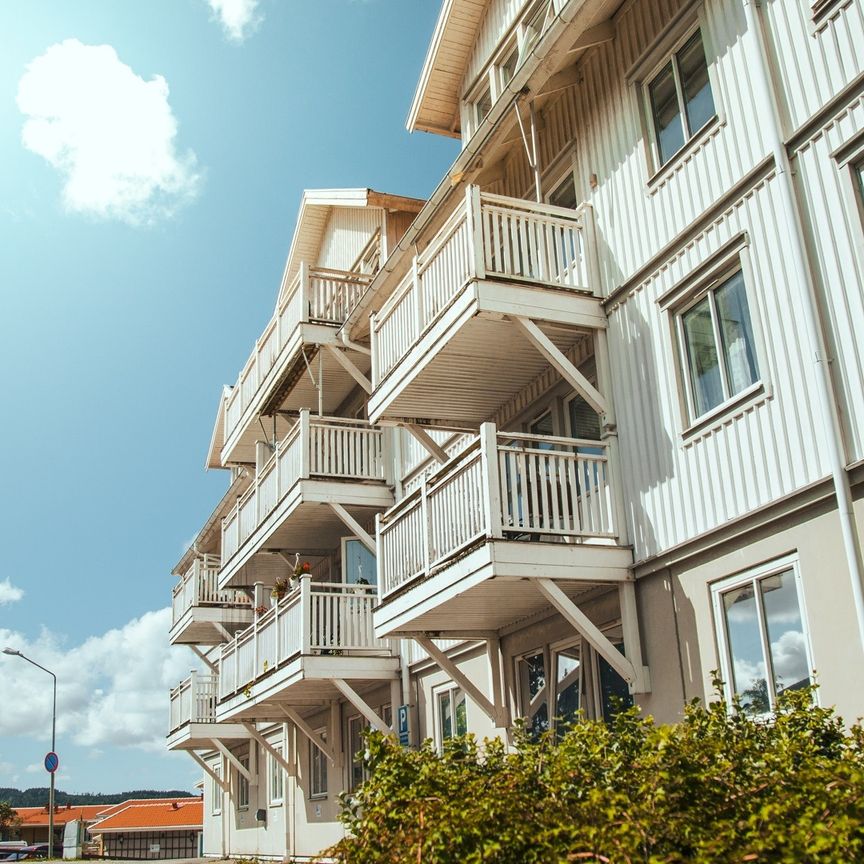 Emanuel Bagares gata 8 - Foto 1