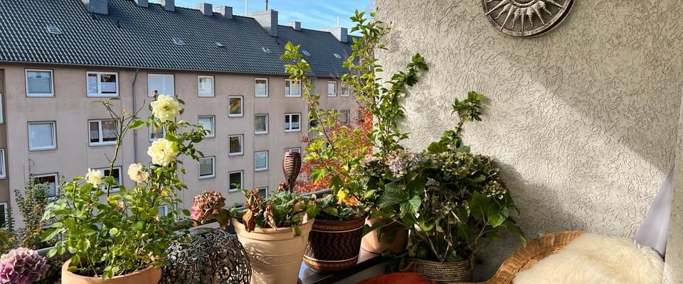 Kurzfristiger Nachmieter für 2 Zimmerwohnung in Riehl gesucht - Photo 1