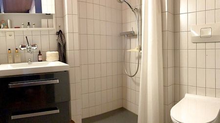 3½ Zimmer-Wohnung in Adligenswil (LU), möbliert, auf Zeit - Foto 4