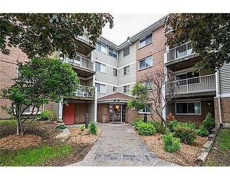 260 Brittany Drive, Vanier South, Ottawa, ON - Photo 2