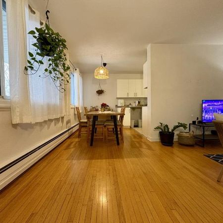 Appartement 4 ½ à louer Sainte-Foy / Sillery juillet 2026 - Photo 3