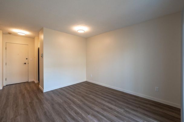 2 Bedroom - Photo 1