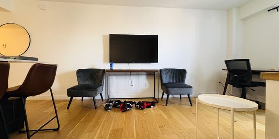 OSTRA Appartements Loft Studio Entièrement Meublé à Louer Saint-Jean-Baptiste Novembre 2025 - Photo 3