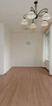Wezelrade, 2544 Den Haag, Nederland - Foto 1