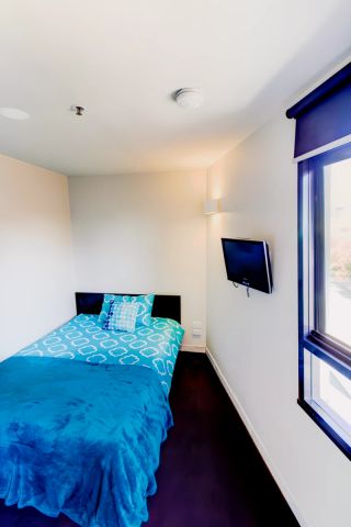 Large North Studio - Photo 2