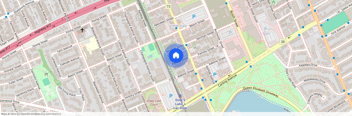 123 PAMILLA Street, Dows Lake - Civic Hospital And Area