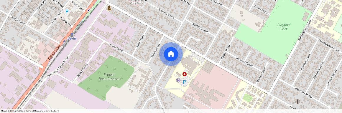 10 Hinemoa Street, Levin, Horowhenua