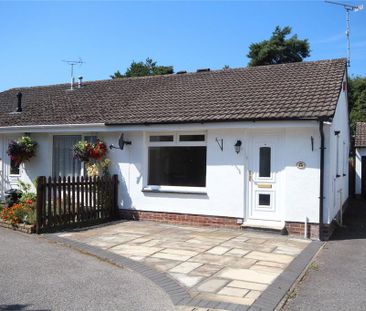 2 bedroom bungalow to rent - Photo 3