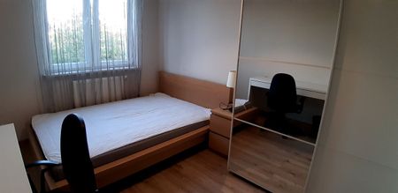 Lublin, Witolda Chodźki - Photo 2