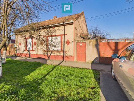 Teren de inchiriat pe 6 Vanatori - Fotografie 2