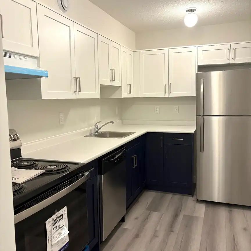 Meadowbrook Apartments — Renovated 1 bedroom - Photo 1