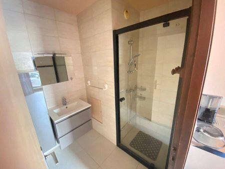 Location appartement 1 pièce 14.6 m² à Romans-sur-Isère (26100) 4 - Photo 2