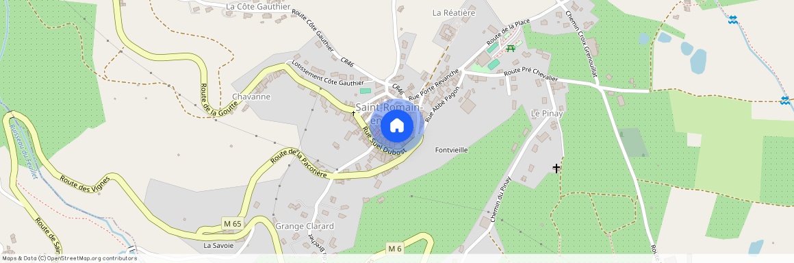 42800, Saint-Romain-En-Jarez