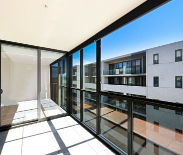 Modern Luxury in the Heart of Braddon - Photo 6