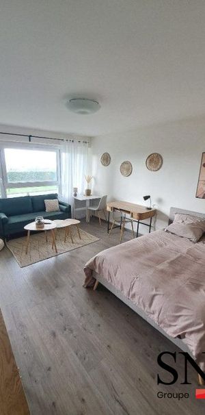 GRAND T1 MEUBLE ENTIEREMENT RENOVE + 1 CAVE - Photo 1