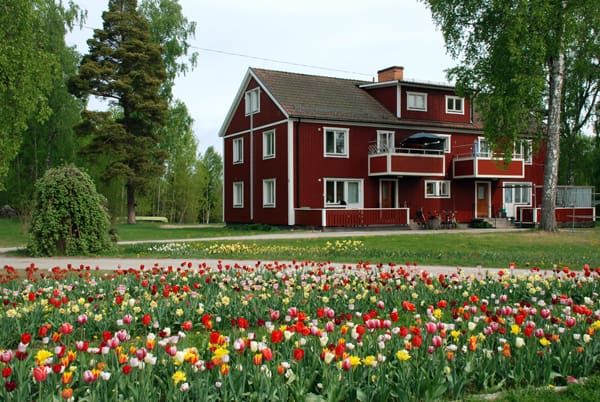 Oppboga: Rymlig välplanerad tvåa med uteplats - Foto 1