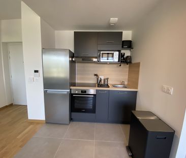 Location Appartement 2 pièces 45m² LYON 2ème - Photo 3
