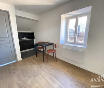 t1 meublé neuf à AUDINCOURT - Photo 3