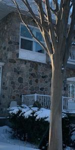 Ville St Laurent 3 1/2 - Photo 3