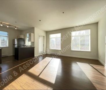 5XXX Kings Road 301 Vancouver_UBC - Photo 2