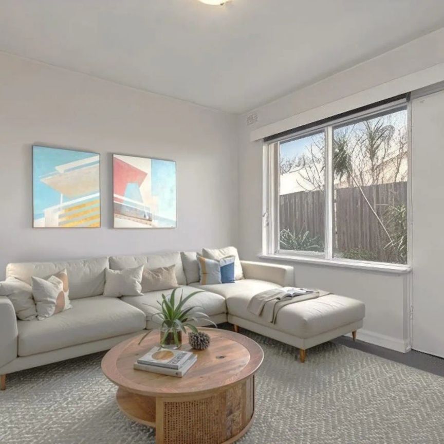 Light-Filled Apartment with Private Courtyard and Great Location! - Photo 1