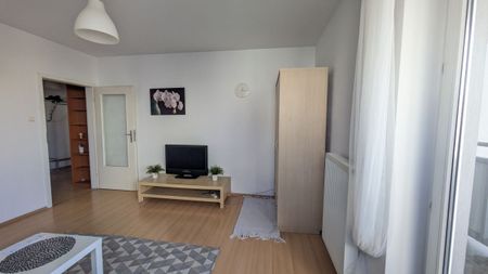 Jasne, przestronne 2pokojowe mieszkanie na Zaspie - Zdjęcie 3