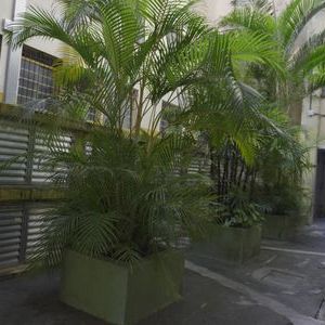 Apartamento para alugar com 60m², 2 quartos e 1 vaga - Foto 3