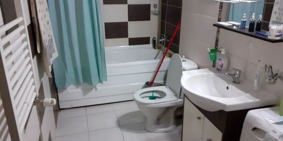 1 camera de inchiriat zona Steaua - Photo 3