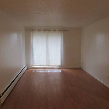 1bdr, $1850, available right now, brand new renovated - Photo 1