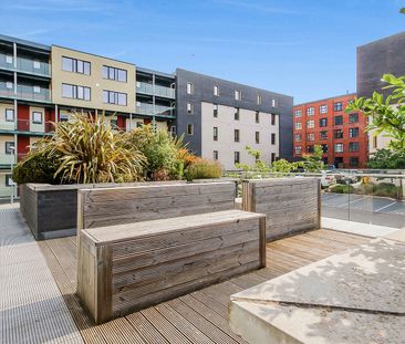 Cotton Lofts Apartments - Photo 5