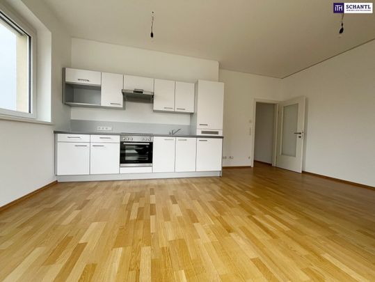 RIESIGE WESTTERRASSE mit 36m²! 2-Zimmer Wohnung im obersten Stock! Ab sofort verfügbar! Haustiere erlaubt! - Photo 1