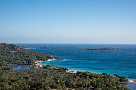 Rental Villa Porto-Vecchio 9 Rooms 400 m² - Photo 3