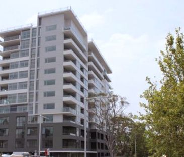 A106/2 Saunders Cl, Macquarie Park NSW 2113 - Apartment For Rent | ... - Photo 2