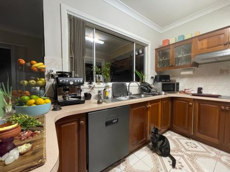 Port Kembla - Photo 5