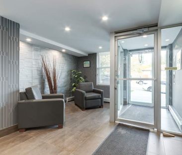 Renovated Suite - 1 Bedroom - Photo 6