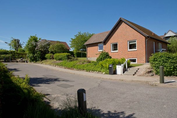 Clematisvej m. fl. - Foto 1