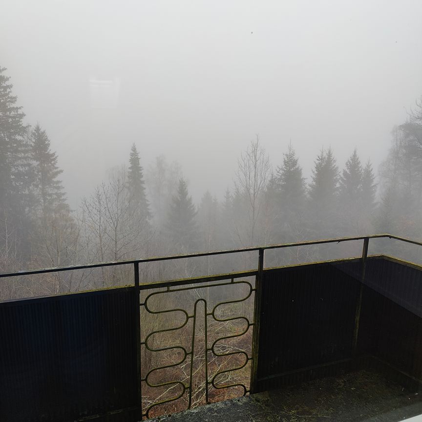 Fjällabergsvägen, Hultafors - Foto 1