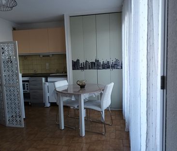 Location Appartement 1 pièce 22m² - Photo 5