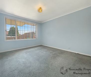 1/3 Teramby Road, Hamilton - Photo 1