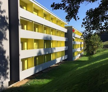 4.5 Zimmer-Duplexwohnung in einem Familienquartier im Grünen - Photo 6