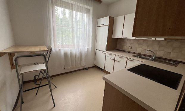 ruhige, kleine Mietwohnung Graz-Geidorf, Muchargasse - Photo 1