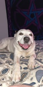 Andrews Farm - Photo 4