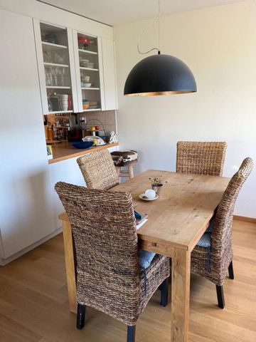 31/2 ROOM APARTMENT IN KREUZLINGEN (TG), FURNISHED, TEMPORARY - Photo 2