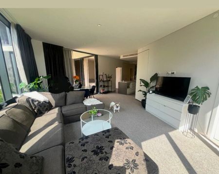 East Brisbane - Photo 4