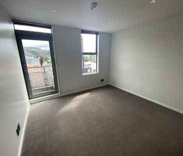 Modern Living in Central Petone - Photo 5