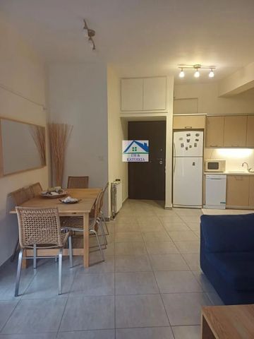 Διαμέρισμα για ενοικίαση Πόρτο Ράφτη (Μαρκόπουλο) - Photo 5